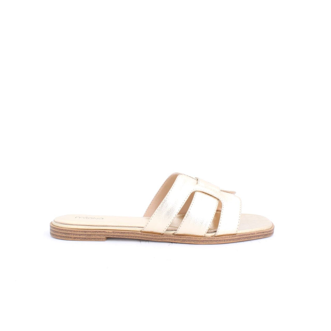 ESSI-FLATS-SLIDES-GOLD